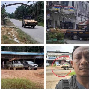 Aktivis Lembaga Investigasi borneo act sweep, Jasli Minta Kapolda Kalbar Selidiki Perdagangan Kayu Dari Kab. Melawi ke Kab. Sintang Oleh Supri dan Akong